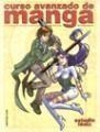 CURSO AVANZADO DE MANGA | 9788427026933 | EQUIPO FENIX | Librería Castillón - Comprar libros online Aragón, Barbastro