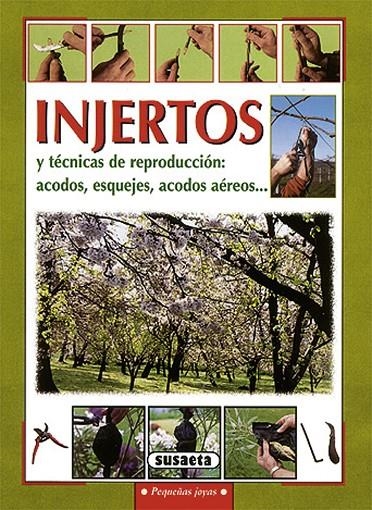 INJERTOS (PEQUEÑAS JOYAS) | 9788430595716 | DEL FABRO, ADRIANO | Librería Castillón - Comprar libros online Aragón, Barbastro