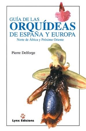 GUIA DE LAS ORQUIDEAS DE ESPAÑA Y EUROPA | 9788487334382 | DELFORGE, PIERRE | Librería Castillón - Comprar libros online Aragón, Barbastro