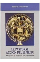 PASTORAL ACCION DEL ESPIRITU, LA | 9788472396807 | CALVO PEREZ, ROBERTO | Librería Castillón - Comprar libros online Aragón, Barbastro