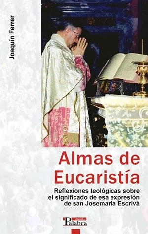 ALMAS DE EUCARISTIA : REFLEXIONES TEOLOGICAS SOBRE EL SIGNIF | 9788482398792 | FERRER ARELLANO, JOAQUIN | Librería Castillón - Comprar libros online Aragón, Barbastro