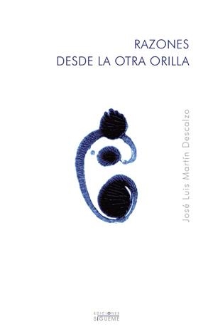 RAZONES DESDE LA OTRA ORILLA | 9788430114016 | MARTIN DESCALZO, JOSE LUIS | Librería Castillón - Comprar libros online Aragón, Barbastro