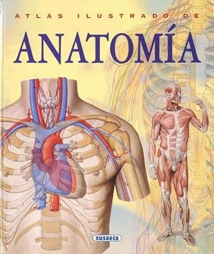 ATLAS ILUSTRADO DE ANATOMIA | 9788430534784 | Librería Castillón - Comprar libros online Aragón, Barbastro