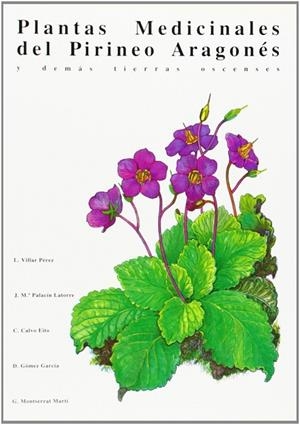 PLANTAS MEDICINALES DEL PIRINEO ARAGONES Y DEMAS TIERRAS OSCENSES | 9788450552560 | VILLAR PEREZ, L. Y OTROS | Librería Castillón - Comprar libros online Aragón, Barbastro