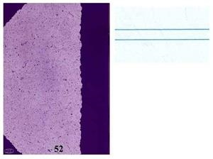 LIBRETA EDELVIVES 52 4º 32 HOJAS | 8414643552321 | Librería Castillón - Comprar libros online Aragón, Barbastro