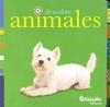 DESCUBRE ANIMALES | 9789876370806 | AA.VV. | Librería Castillón - Comprar libros online Aragón, Barbastro