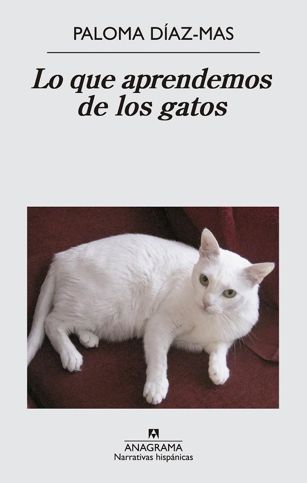 Lo que aprendemos de los gatos | 9788433997807 | Díaz Mas, Paloma | Librería Castillón - Comprar libros online Aragón, Barbastro