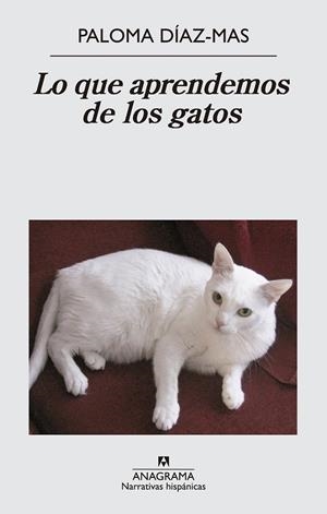 Lo que aprendemos de los gatos | 9788433997807 | Díaz Mas, Paloma | Librería Castillón - Comprar libros online Aragón, Barbastro