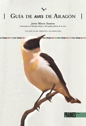 Guía de aves de Aragón | 9788483214237 | BLASCO ZUMETA, Javier | Librería Castillón - Comprar libros online Aragón, Barbastro