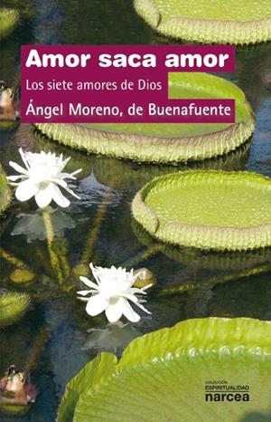 Amor saca amor | 9788427720756 | Moreno de Buenafuente, Ángel | Librería Castillón - Comprar libros online Aragón, Barbastro