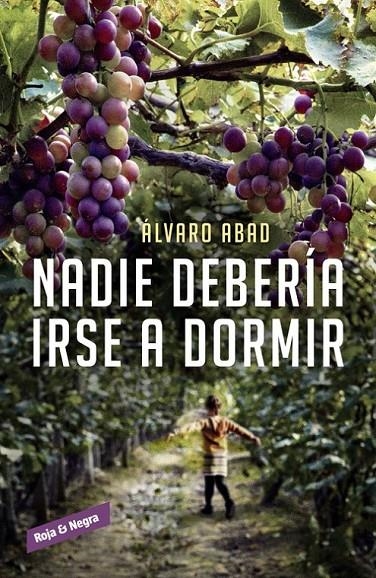 Nadie debería irse a dormir | 9788416195220 | Álvaro Abad | Librería Castillón - Comprar libros online Aragón, Barbastro