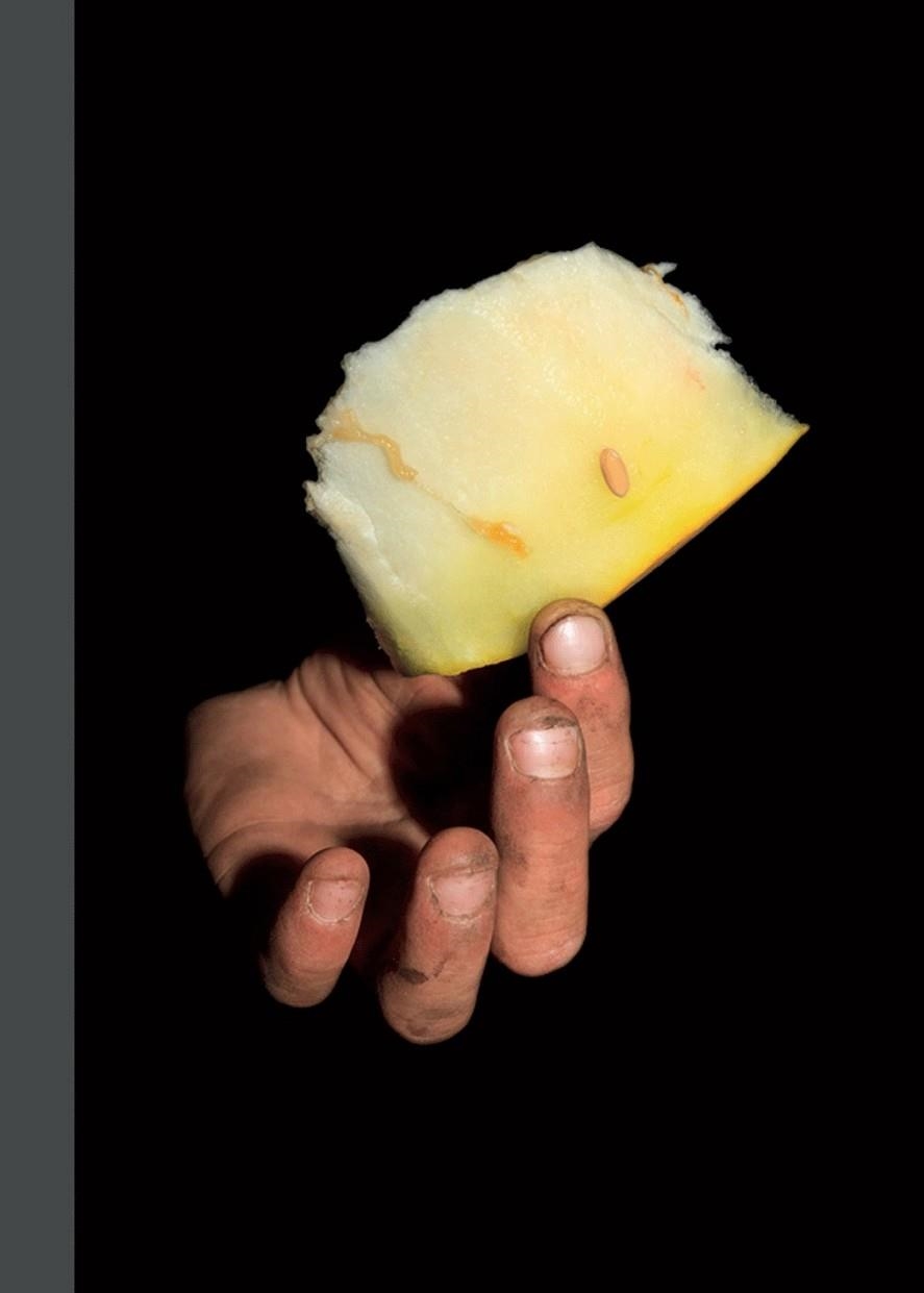 Melones de hiel | 9788498018332 | Golovchenko, Kirill | Librería Castillón - Comprar libros online Aragón, Barbastro