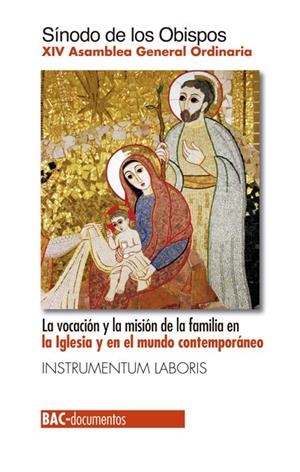 VOCACION Y MISION DE LA FAMILIA EN LA IGLESIA Y MUNDO CONTE | 9788422018254 | SINODO DE LOS OBISPOS | Librería Castillón - Comprar libros online Aragón, Barbastro