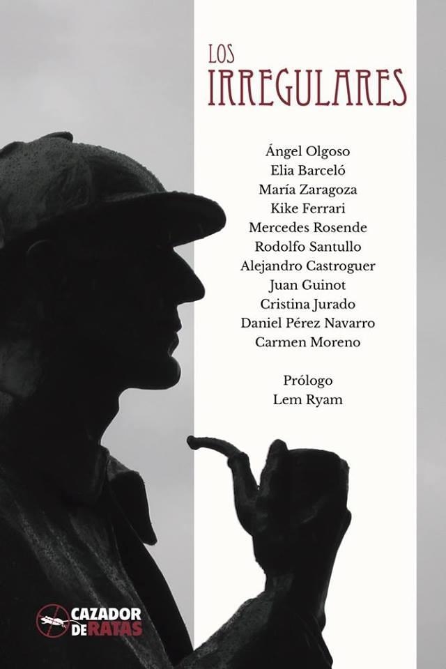 Los Irregulares | 9788494415326 | Varios autores | Librería Castillón - Comprar libros online Aragón, Barbastro