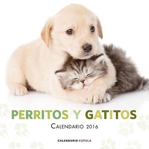 Calendario Perritos y gatitos 2016 | 9788448021726 | AA. VV. | Librería Castillón - Comprar libros online Aragón, Barbastro