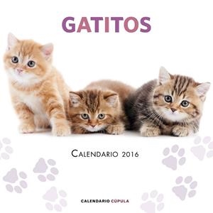 Calendario Gatitos 2016 | 9788448021719 | AA. VV. | Librería Castillón - Comprar libros online Aragón, Barbastro