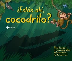 ¿Estás ahí, cocodrilo? | 9788469604137 | VV. AA. | Librería Castillón - Comprar libros online Aragón, Barbastro