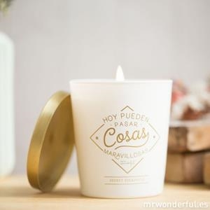 VELA HOY PUEDEN PASAR COSAS MARAVILLOSAS - MR WONDERFUL | 8436547193806 | MR WONDERFUL | Librería Castillón - Comprar libros online Aragón, Barbastro