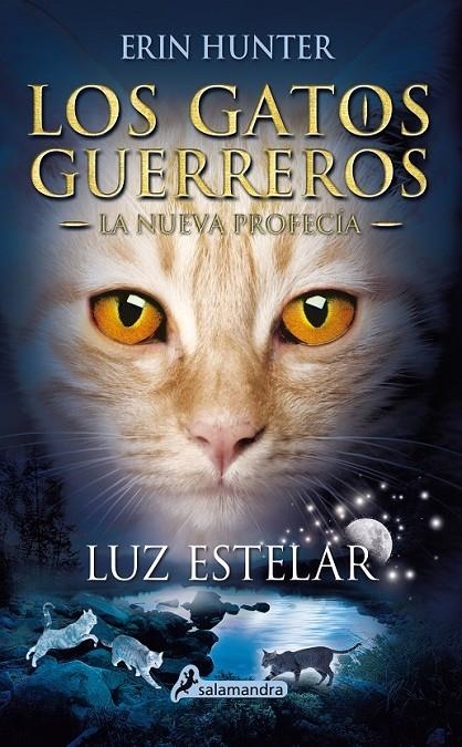 LUZ ESTELAR - Los gatos guerreros : La nueva profecia 4 | 9788498387438 | Erin Hunter | Librería Castillón - Comprar libros online Aragón, Barbastro