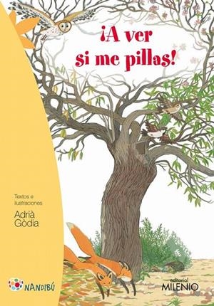 ¡A ver si me pillas! | 9788497437172 | Gòdia Moragues, Adrià | Librería Castillón - Comprar libros online Aragón, Barbastro