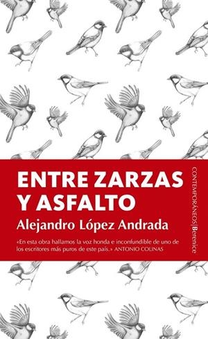 Entre zarzas y asfalto | 9788415441977 | López Andrada, Alejandro | Librería Castillón - Comprar libros online Aragón, Barbastro