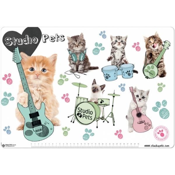 VADE ESCOLAR 49.5X34.5 STUDIO PETS GATOS | 8435107807351 | Librería Castillón - Comprar libros online Aragón, Barbastro