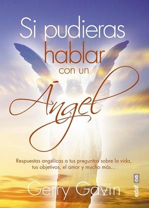 Si pudieras hablar con un Ángel | 9788441436510 | Gavin, Gerry | Librería Castillón - Comprar libros online Aragón, Barbastro