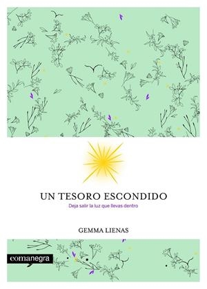 Un tesoro escondido | 9788416605354 | Lienas Massot, Gemma | Librería Castillón - Comprar libros online Aragón, Barbastro