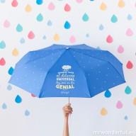 PARAGUAS MEDIANO AUNQUE CAIGA EL DILUVIO UNIVERSAL | 8435460706872 | MR WONDERFUL | Librería Castillón - Comprar libros online Aragón, Barbastro