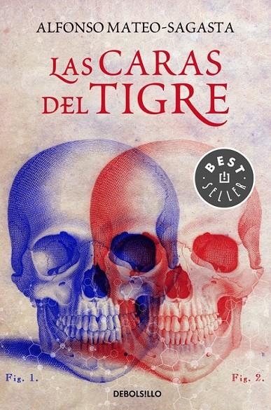 Las caras del tigre | 9788466335010 | Alfonso MateoSagasta | Librería Castillón - Comprar libros online Aragón, Barbastro