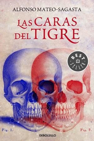 Las caras del tigre | 9788466335010 | Alfonso MateoSagasta | Librería Castillón - Comprar libros online Aragón, Barbastro