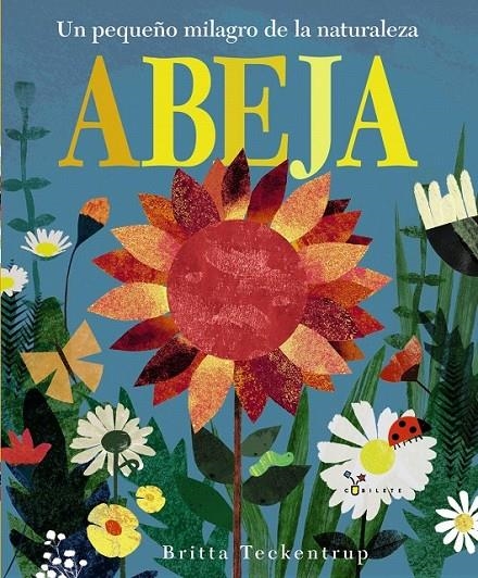 Abeja | 9788469606223 | Hegarty, Patricia | Librería Castillón - Comprar libros online Aragón, Barbastro
