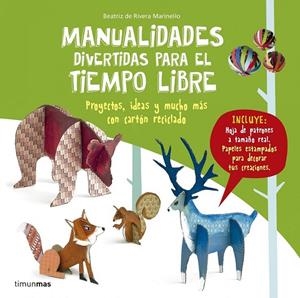 Manualidades divertidas para el tiempo libre | 9788408160069 | Beatriz Rivera Marinel.lo | Librería Castillón - Comprar libros online Aragón, Barbastro