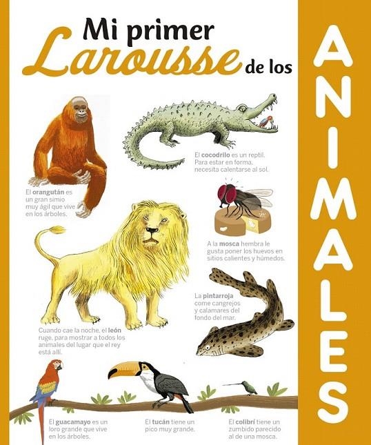 Mi primer Larousse de los Animales | 9788416641321 | Larousse Editorial | Librería Castillón - Comprar libros online Aragón, Barbastro