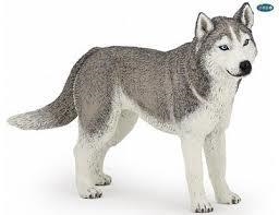 FIGURA PAPO HUSKY DE SIBERIA | 3465000540357 | Librería Castillón - Comprar libros online Aragón, Barbastro