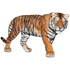 FIGURA PAPO TIGRE | 3465000500047 | Librería Castillón - Comprar libros online Aragón, Barbastro