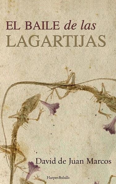 El baile de las lagartijas | 9788491390473 | De Juan Marcos, David | Librería Castillón - Comprar libros online Aragón, Barbastro