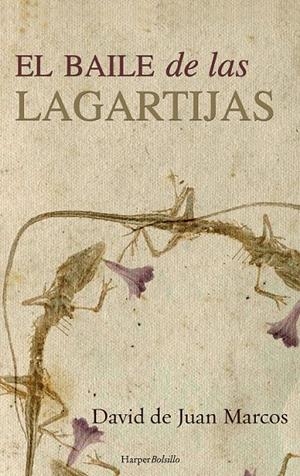 El baile de las lagartijas | 9788491390473 | De Juan Marcos, David | Librería Castillón - Comprar libros online Aragón, Barbastro