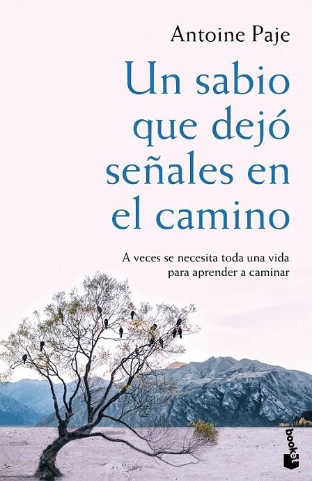 Un sabio que dejó señales en el camino | 9788408166382 | Antoine Paje | Librería Castillón - Comprar libros online Aragón, Barbastro