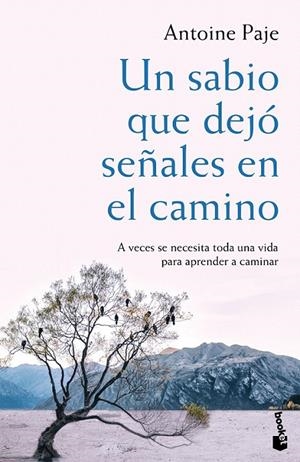Un sabio que dejó señales en el camino | 9788408166382 | Antoine Paje | Librería Castillón - Comprar libros online Aragón, Barbastro