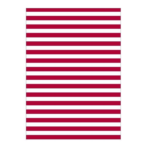 BOLSA PLASTICO DISFRAZ 56 x 70 cm 25 UD TOPOS BLANCO ROJO | 8413623027293 | Librería Castillón - Comprar libros online Aragón, Barbastro