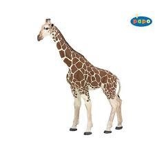 FIGURA PAPO JIRAFA  | 3465000500962 | Librería Castillón - Comprar libros online Aragón, Barbastro