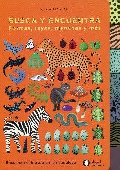BUSCA Y ENCUENTRA FORMAS, RALLAS, MANCHAS Y MÁS | 9788494504273 | AA.VV. | Librería Castillón - Comprar libros online Aragón, Barbastro