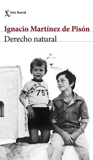 Derecho natural | 9788432232220 | Ignacio Martínez de Pisón | Librería Castillón - Comprar libros online Aragón, Barbastro