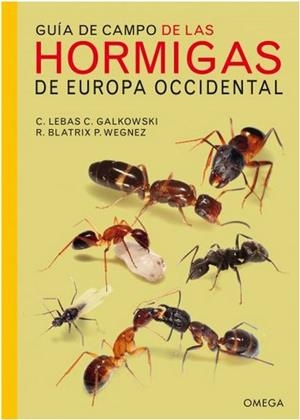 GUÍA DE CAMPO DE LAS HORMIGAS DE EUROPA OCCIDENTAL | 9788428216630 | Lebas, Claude; Galkowski, Christophe | Librería Castillón - Comprar libros online Aragón, Barbastro