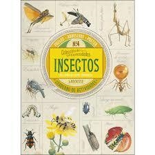 Colección de curiosidades. Insectos | 9788416641697 | Larousse Editorial | Librería Castillón - Comprar libros online Aragón, Barbastro