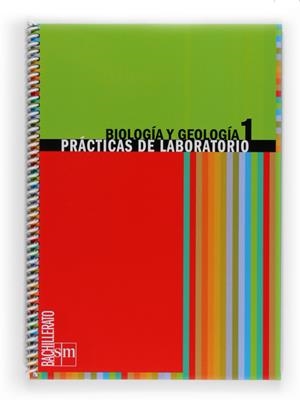 1º BACH. CUADERNO DE LABORATORIO ByG .-09 | 9788467534122 | Pedrinaci Rodríguez, Emilio / Gil, Concha / Gómez de Salazar, José María / Álvarez Suárez, Rafael Mª | Librería Castillón - Comprar libros online Aragón, Barbastro