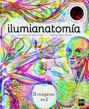 ILUMIANATOMIA | 9788467594201 | Davies, Kate | Librería Castillón - Comprar libros online Aragón, Barbastro