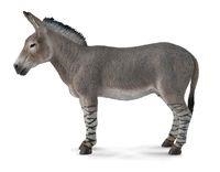 FIGURA ASNO AFRICANO - COLLECTA | 4892900886640 | Librería Castillón - Comprar libros online Aragón, Barbastro