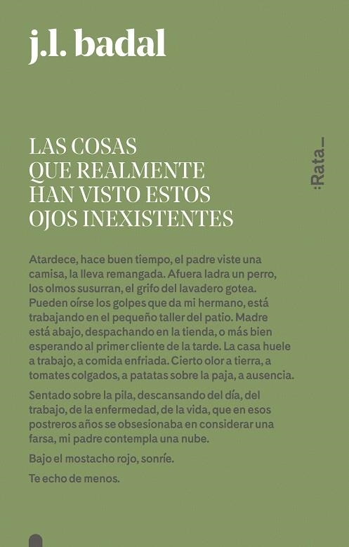 Las cosas que realmente han visto estos ojos inexistentes | 9788416738151 | Badal, Josep Lluís | Librería Castillón - Comprar libros online Aragón, Barbastro